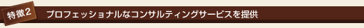 特徴2 プロフェッショナルなコンサルティングサービスを提供